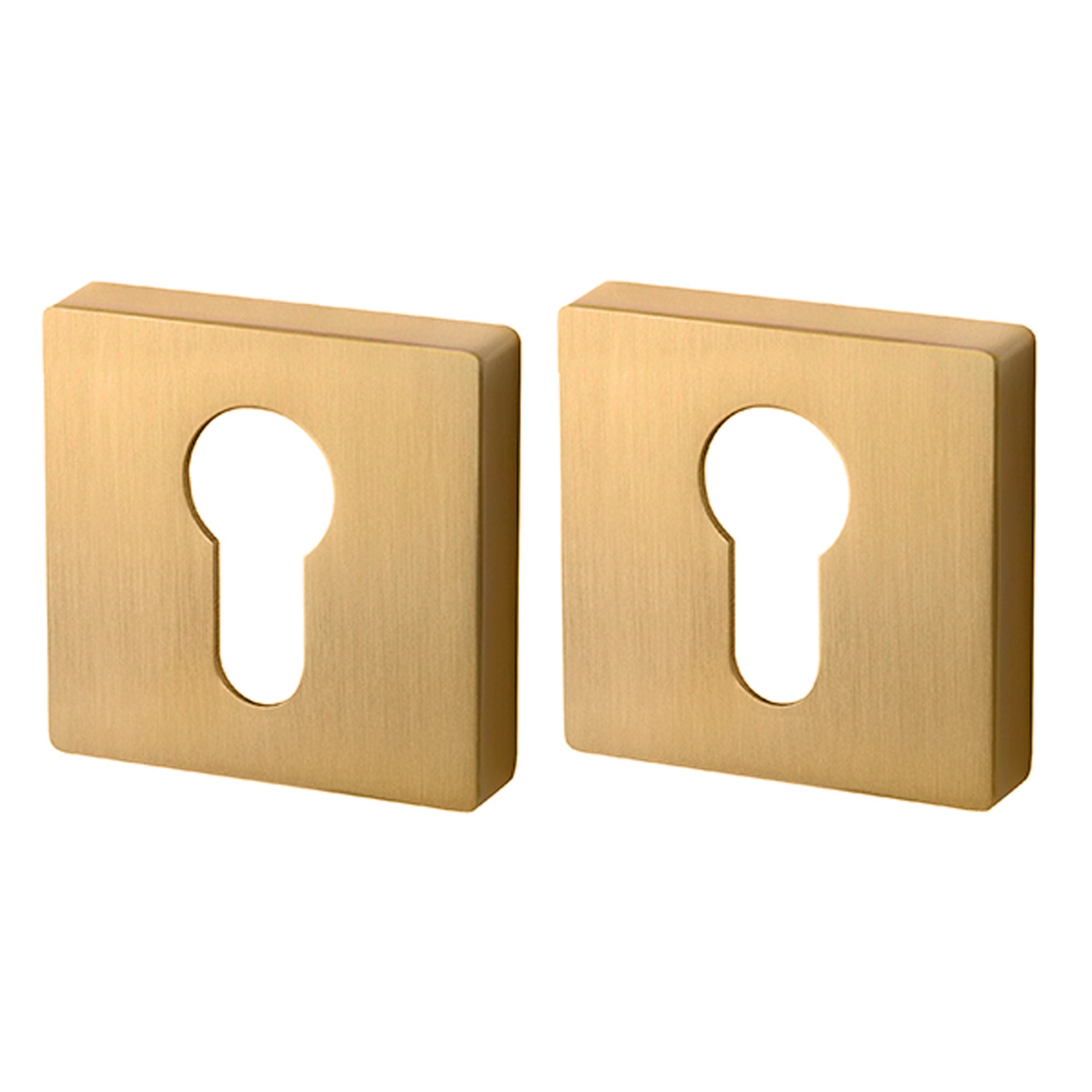 Накладка Armadillo (Армадилло) под цилиндр ET.K.USQ52 (ET USQ) FSG флорентийское золото Накладка Armadillo (Армадилло) под цилиндр ET.K.USQ52 (ET USQ) FSG флорентийское золото