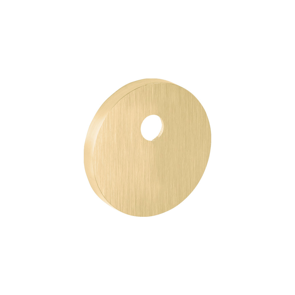 Накладка Fuaro (Фуаро) на шток цилиндра ESC.O.RLR/R.486 SSG-39 сатинированное золото (1шт.) Накладка Fuaro (Фуаро) на шток цилиндра ESC.O.RLR/R.486 SSG-39 сатинированное золото (1шт.)