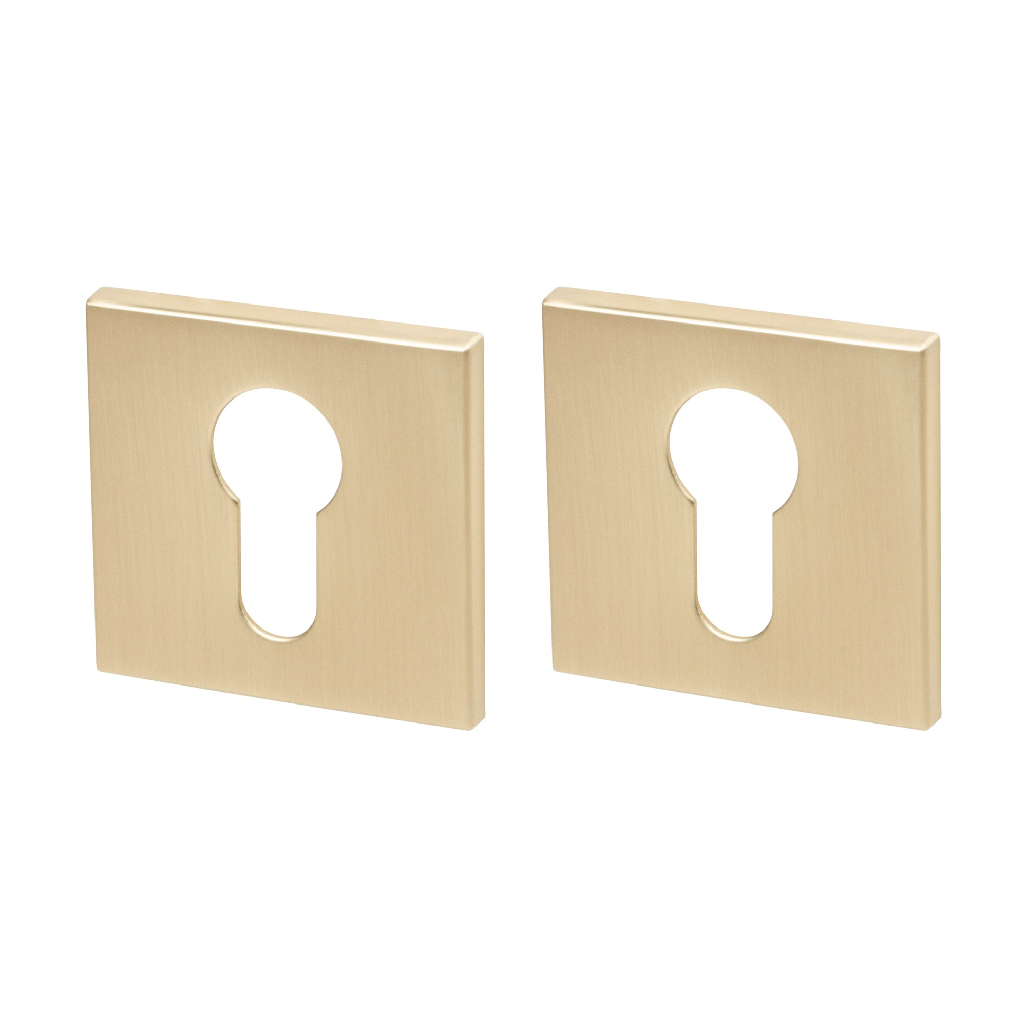 Накладка Armadillo (Армадилло) под цилиндр ET.K.YM FSG-39 флор. золото 