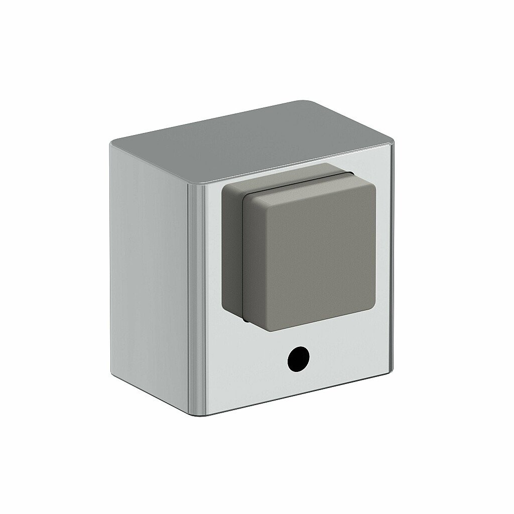 DS-1 C Хром DS-1 C Хром