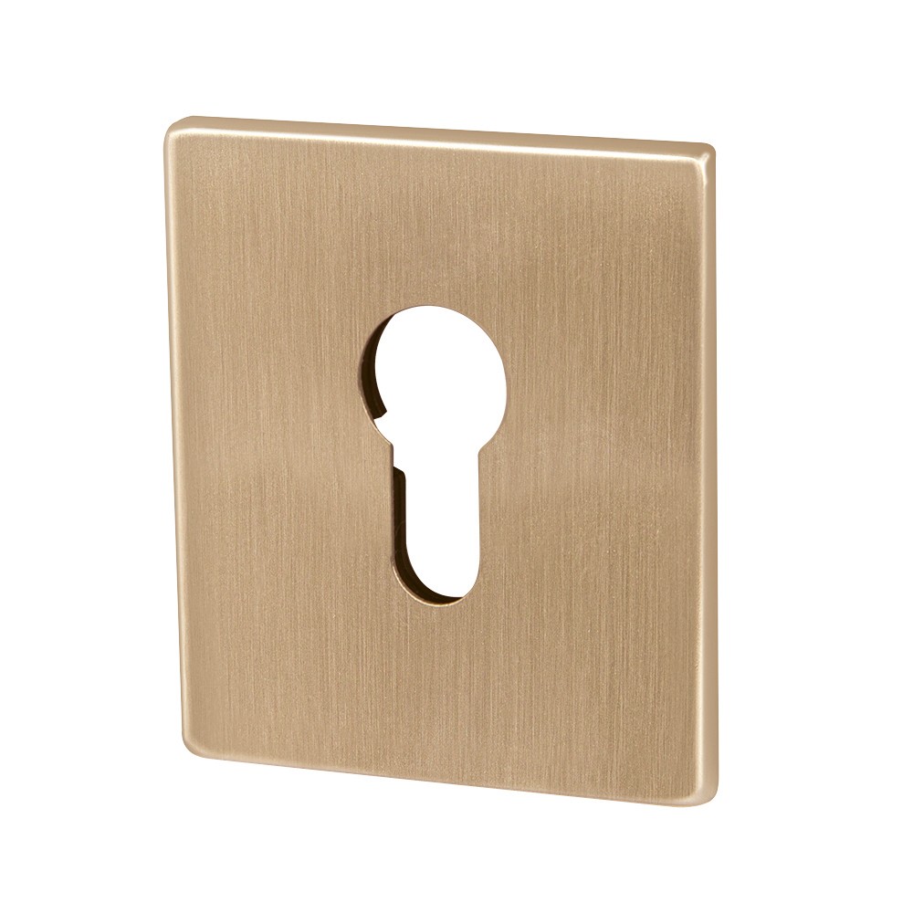 Накладка Armadillo (Армадилло) на цилиндр ESC.C.USS/K (ET Protector/USS) FSG флорентийское золото Накладка Armadillo (Армадилло) на цилиндр ESC.C.USS/K (ET Protector/USS) FSG флорентийское золото