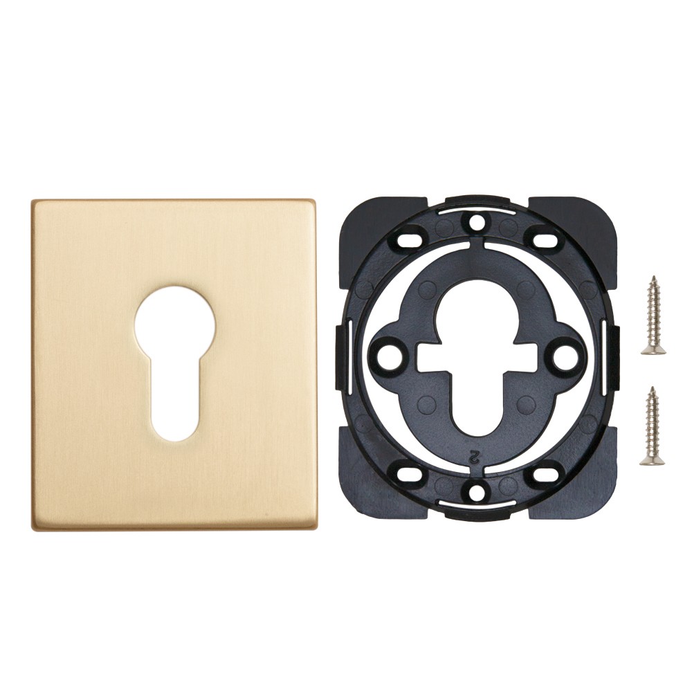 Накладка Armadillo (Армадилло) на цилиндр ESC.C.USS/K (ET Protector/USS) FSG флорентийское золото Накладка Armadillo (Армадилло) на цилиндр ESC.C.USS/K (ET Protector/USS) FSG флорентийское золото