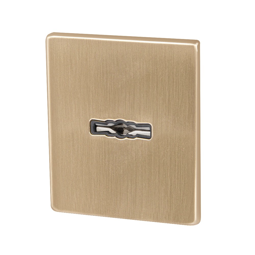 Накладка Armadillo (Армадилло) на сувальдный замок ESC.S-auto.USS/K (PS Protector/USS) FSG флорентийское золото Накладка Armadillo (Армадилло) на сувальдный замок ESC.S-auto.USS/K (PS Protector/USS) FSG флорентийское золото