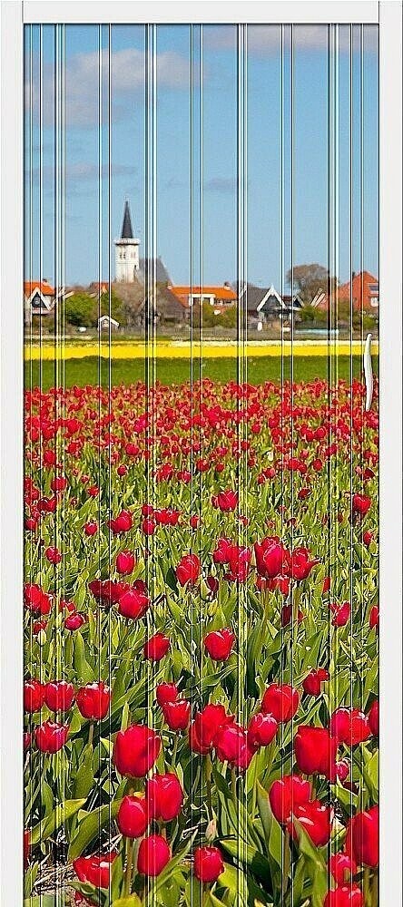 Браво-008 складная (ПГ) Т - 2 Браво-008 складная (ПГ) Т - 2