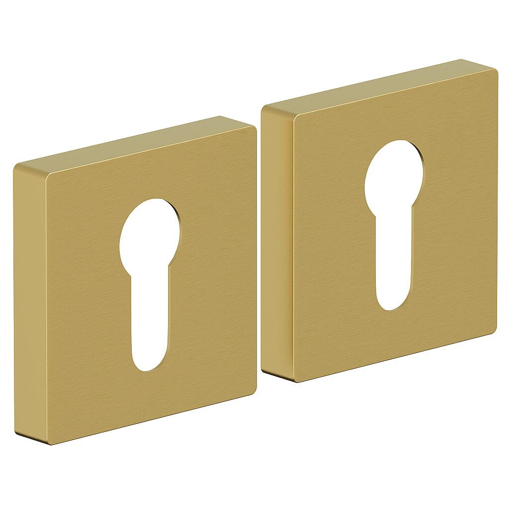 AS-6CL SGold AS-6CL SGold