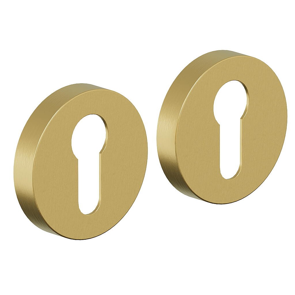 AR-7CL SGold AR-7CL SGold