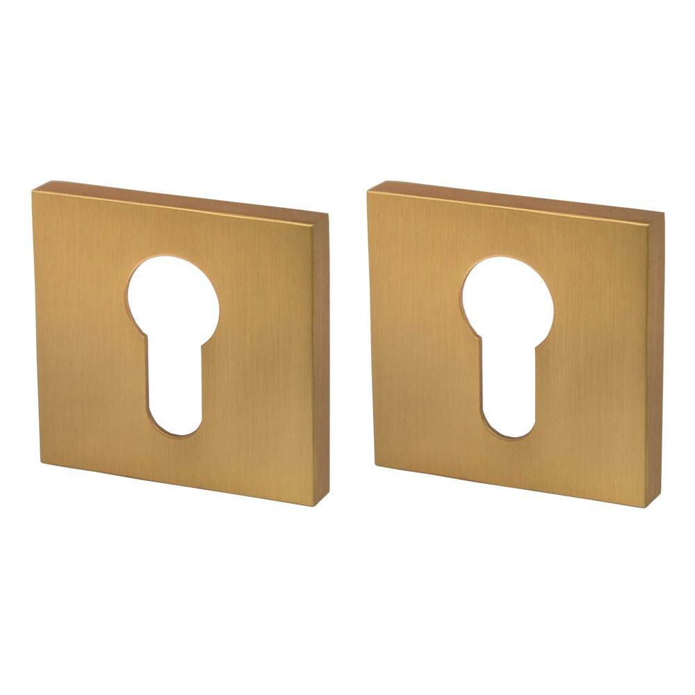 Накладка Armadillo (Армадилло) под цилиндр ET.K.USS52 (ET USS) FSG-39 флорентийское золото 