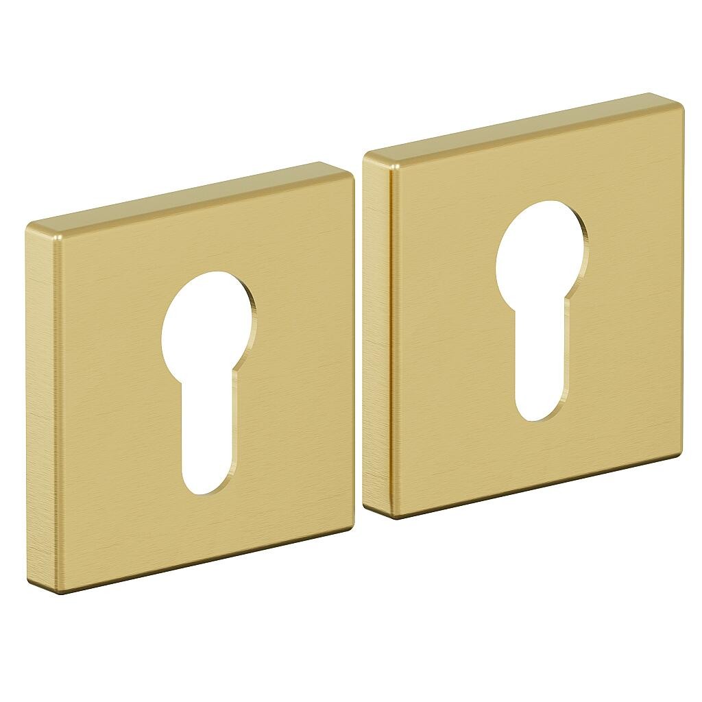 AS-3CL SGold AS-3CL SGold